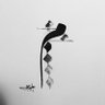 مضاوي.'s profile picture