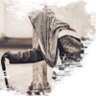 فالح العتيبي's profile picture