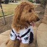 Patriots4life22's profile picture