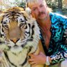🐆Joe Exotic🐅 的头像