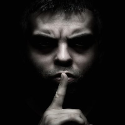 The North 🇸🇪 (Me the people)'s profile picture