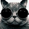 ممدشونم...'s profile picture