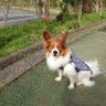 ごんた's profile picture