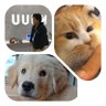 よーらいとまりもとまる。's profile picture