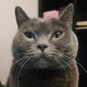 Donnie (China)🇨🇳's profile picture