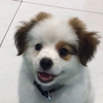sundaeinfeb's profile picture