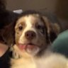 Netsirkl's profile picture