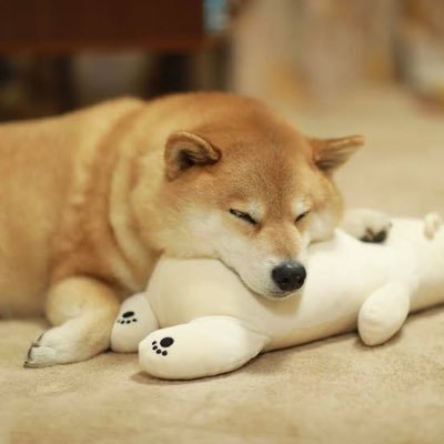 waccun_24h009's profile picture