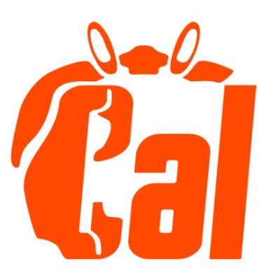 nussoft's profile picture