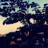 mohammadaljoudi1's profile picture