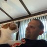 Jason Iacona's profile picture