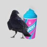 crows and slurpees profil fotoğrafı