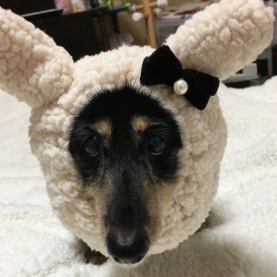 m (。・x・)♡'s profile picture