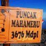 Imanez profil fotoğrafı