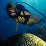 Tracy 🌴🌊🧜🏻♀️💪🏼 profil fotoğrafı