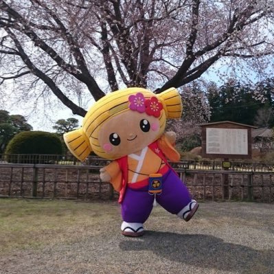 mitochan310's profile picture