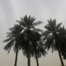 Фото профиля عبدالعزيز