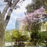 Фото профиля El Bibliotecario