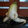 Фото профиля 真伸麗