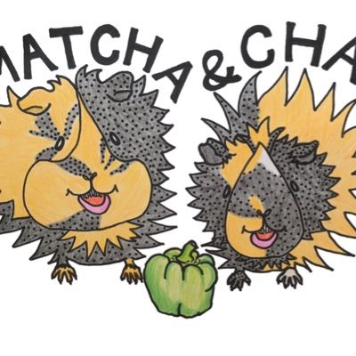 ãããã(MATCHA&CHAI)'s profile picture