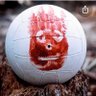 Timmy T's profile picture