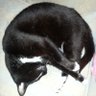 BlancaLila's profile picture