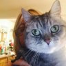 Helen Coltman's profile picture