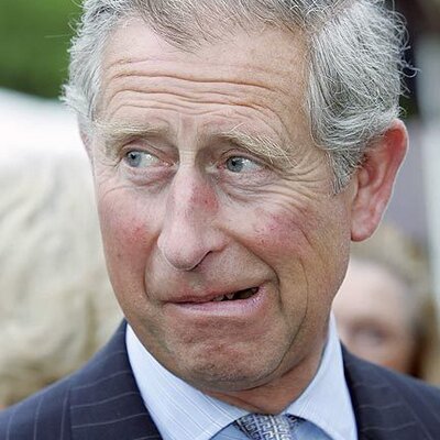 King Charles III (parody)'s profile picture