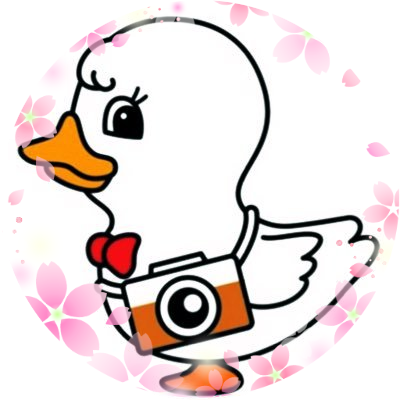 dinoteuk's profile picture