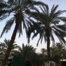 Фото профиля Ayedh Alenezi