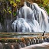 Фото профиля Timmy Chou