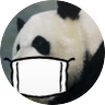 カオル 的头像
