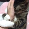 珊珊(さんさん)🇹🇼 profil fotoğrafı