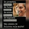 Elo_Oliveira profil fotoğrafı