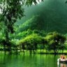 游鱼 profil fotoğrafı