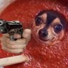 Luis Gabriel's profile picture