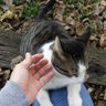 CutesyAdorablyCuddly 🔜 Side Quest profil fotoğrafı