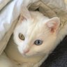 Anna profil fotoğrafı