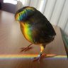 Ow my neck's profile picture