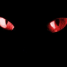 Nimrhodel's profile picture