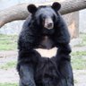 Profilbild von Paberu
