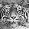 Edgard_Aller Riviere's profile picture