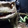 Observador y Crítico profil fotoğrafı