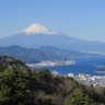 おみず 的头像