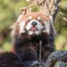はまはまはま㌠ profil fotoğrafı