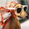 Kelvin ikwogo's profile picture