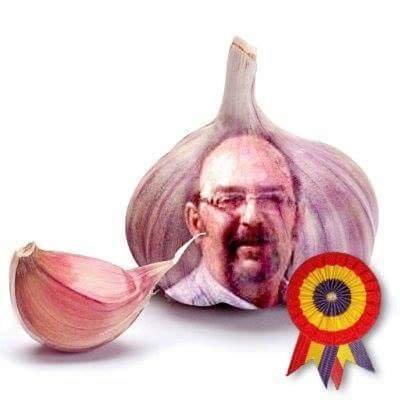 javifagreda's profile picture