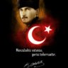 Kuva-yi Milliye's profile picture