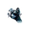 RNCKO's profile picture