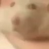 Profilbild von JaceTheRatGod (dead)🐀